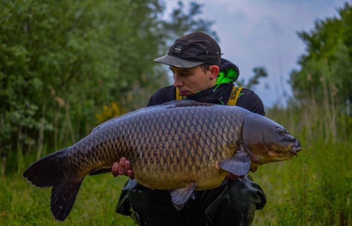 Fotodump: De 19 beste Pro Line pics van 2019