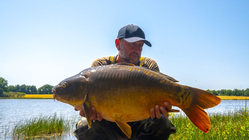 Etang de Drulon