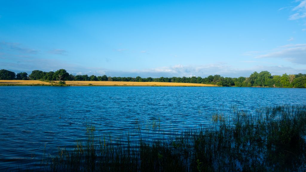 Etang de Drulon