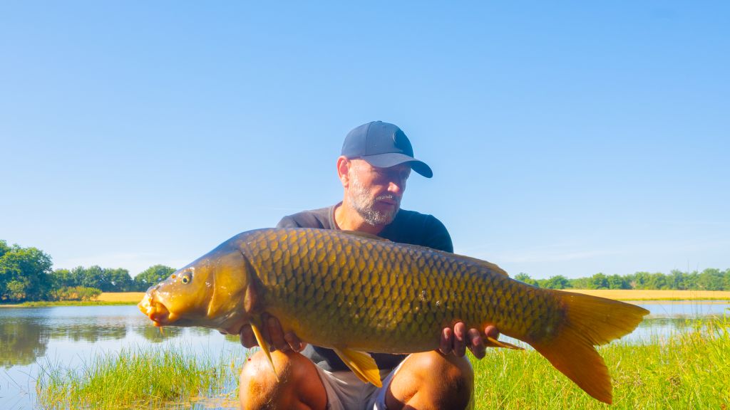Etang de Drulon