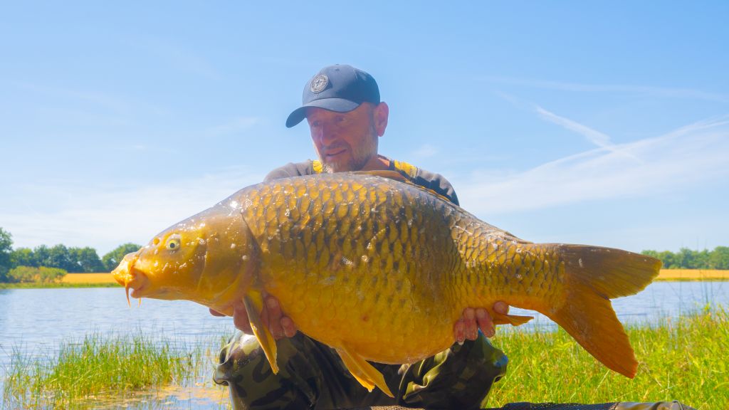 Etang de Drulon