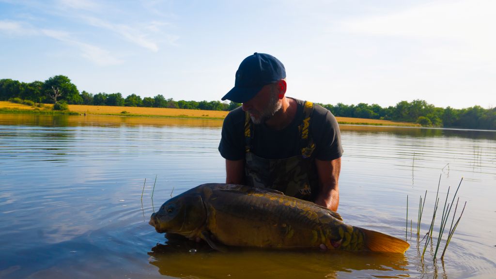 Etang de Drulon