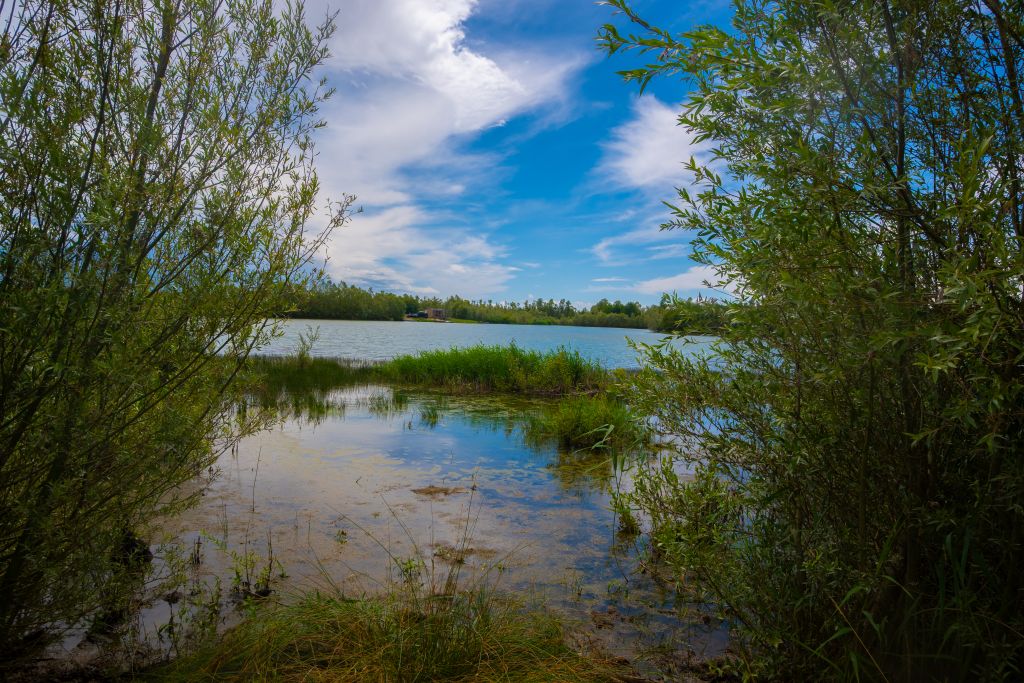 Etang Mesange