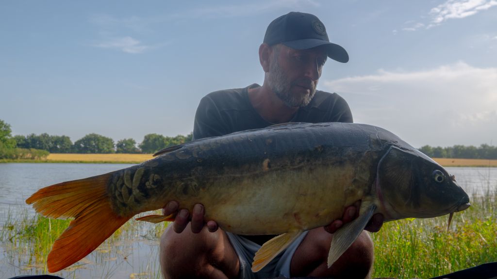 Etang de Drulon