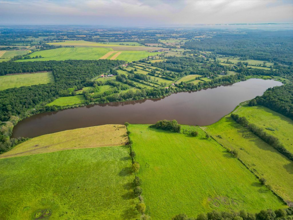Etang de Drulon