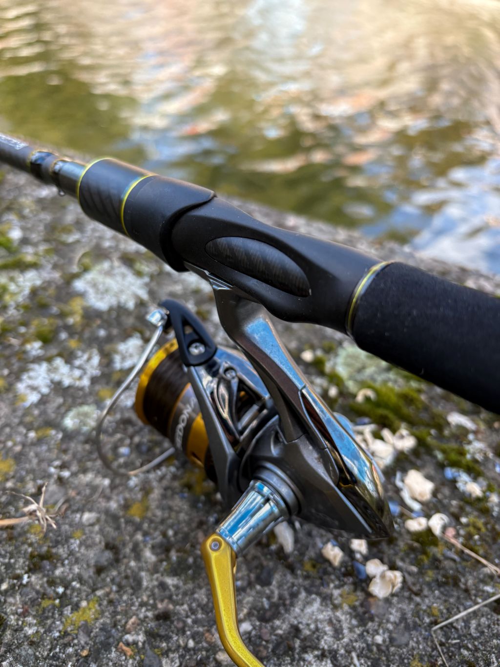 Sportex Xclusive Float