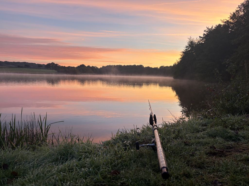 The Carp Specialist - Etang de Chigy