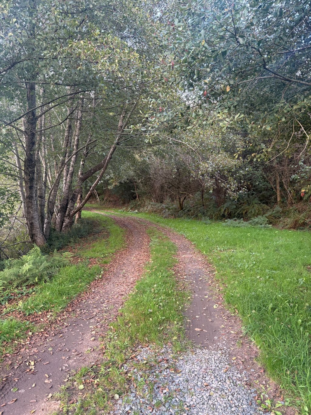 The Carp Specialist - Etang de Chigy