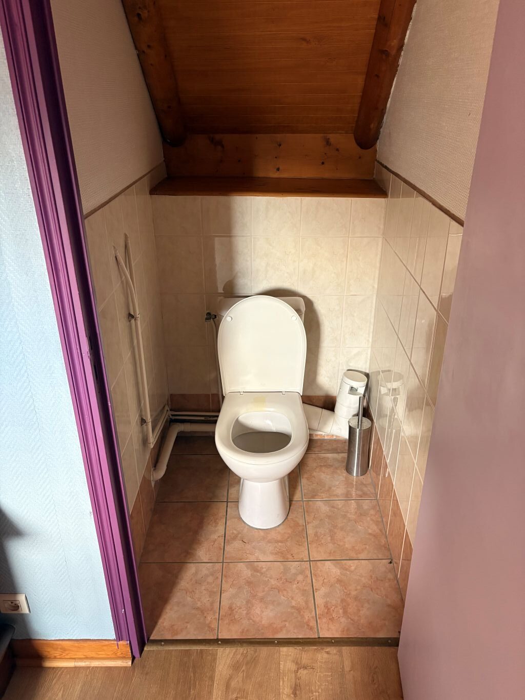 The Carp Specialist - Etang de Chigy