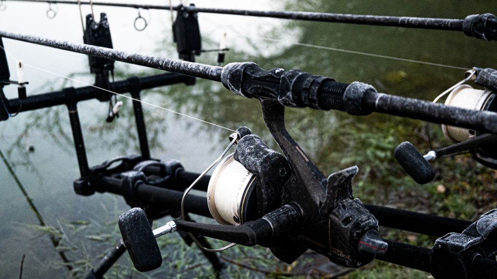 Domaine de Rumilly - Le Plan&egrave;te - The Carp Specialist