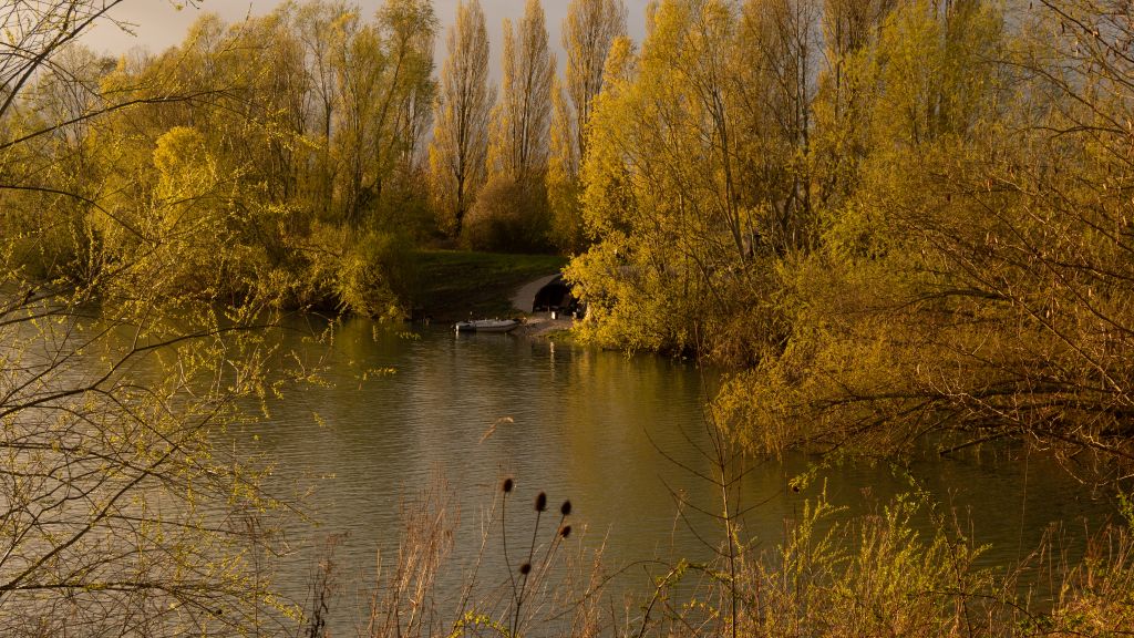 Domaine de Rumilly - Le Plan&egrave;te - The Carp Specialist