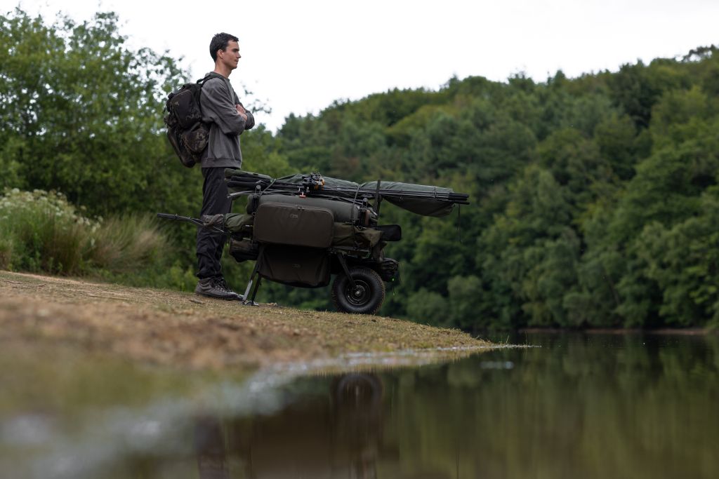 Carp Porter