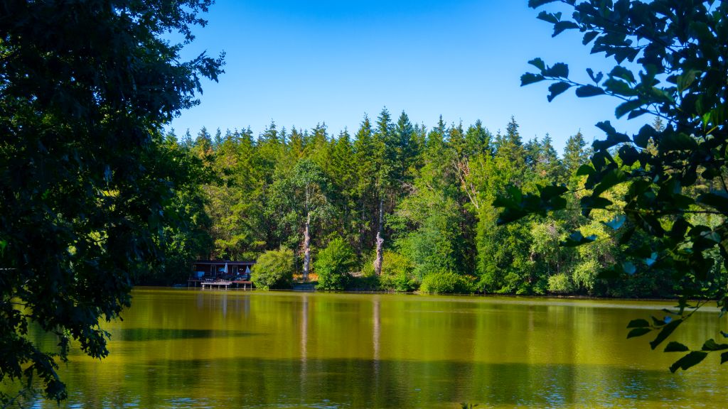 Windmill Lake
