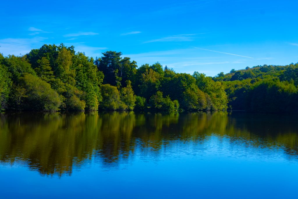 Etang La Chateline
