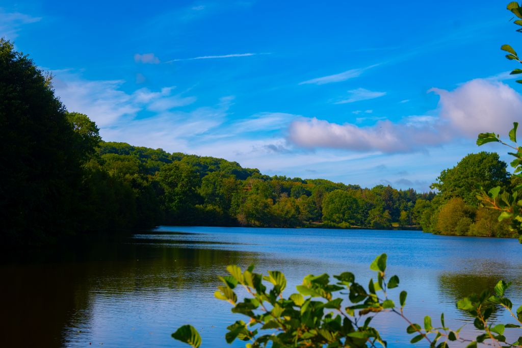Etang La Chateline